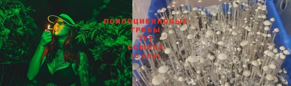 сатива Лихославль