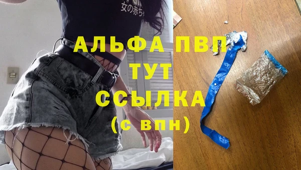 сатива Лихославль