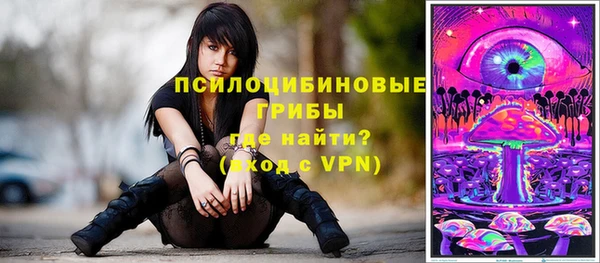 МДПВ Майский