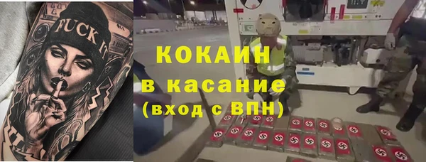 сатива Лихославль