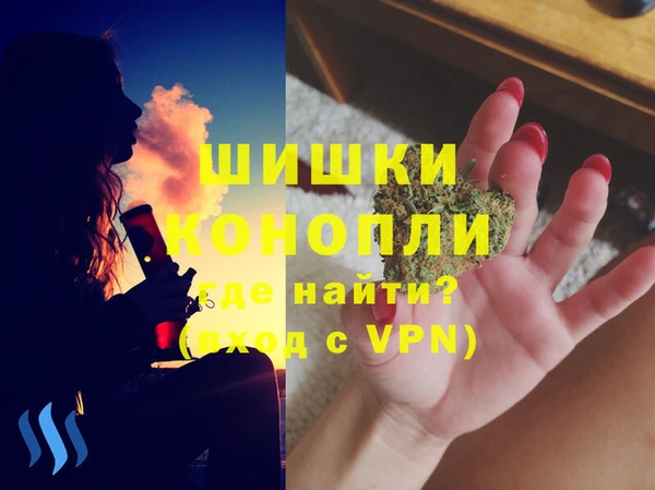 сатива Лихославль