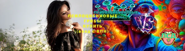 спиды Липки
