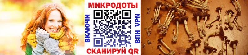 Псилоцибиновые грибы Magic Shrooms  Темрюк 
