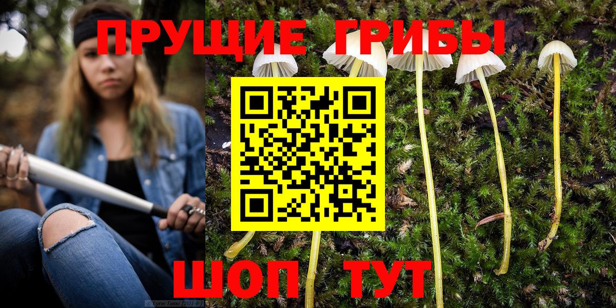 Галлюциногенные грибы GOLDEN TEACHER Темрюк