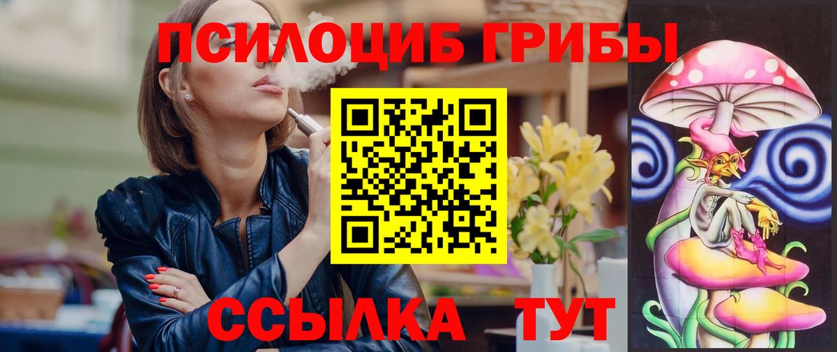 Псилоцибиновые грибы мухоморы  Темрюк  Псилоцибиновые грибы Psilocybine cubensis 
