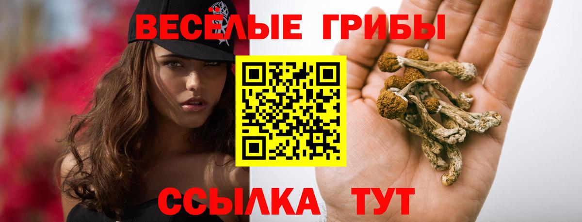 Псилоцибиновые грибы Cubensis  Вход с VPN  Темрюк  Галлюциногенные грибы GOLDEN TEACHER 